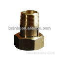 Brass Pipe Fittings For Water Meter BN10018